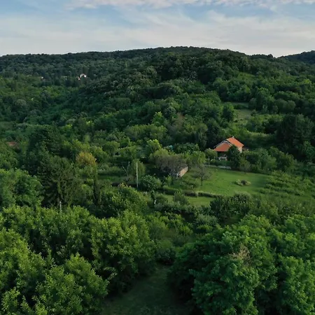 Gazde/Camere de închiriat Sumska 1 - Fruska Gora *