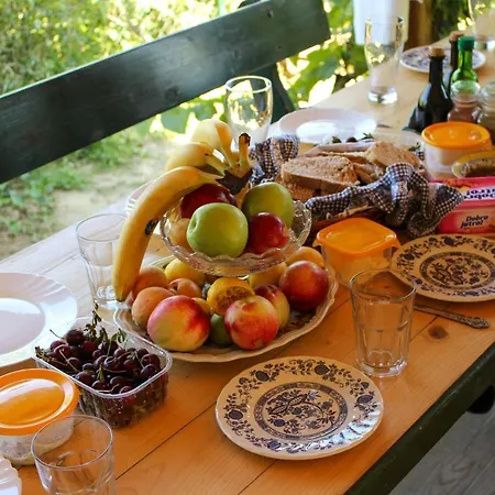 Sumska 1 - Fruska Gora Gazde/Camere de închiriat