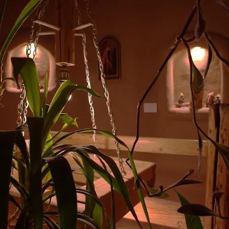 Sumska 1 - Fruska Gora * Sremska Kamenica