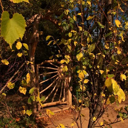 Sumska 1 - Fruska Gora