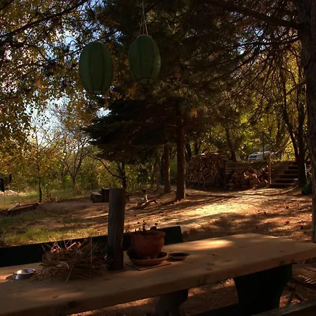 Sumska 1 - Fruska Gora Gazde/Camere de închiriat