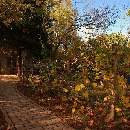 Sumska 1 - Fruska Gora Sremska Kamenica