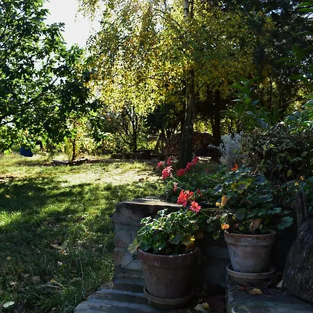 Sumska 1 - Fruska Gora * Sremska Kamenica