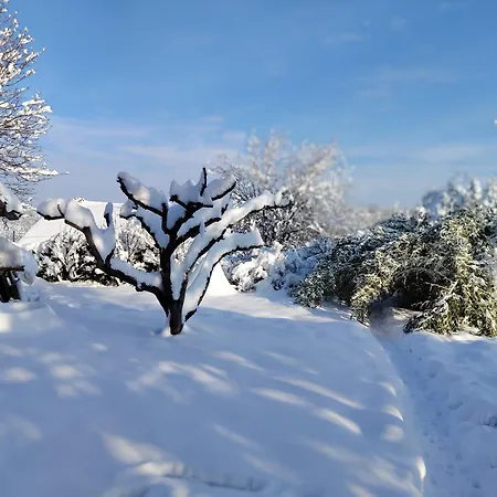 Проживание в семье Sumska 1 - Fruska Gora