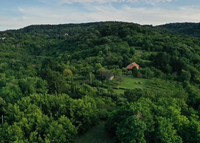 Проживание в семье Sumska 1 - Fruska Gora *