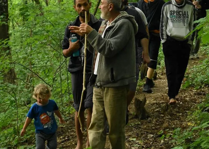Sumska 1 - Fruska Gora Проживание в семье