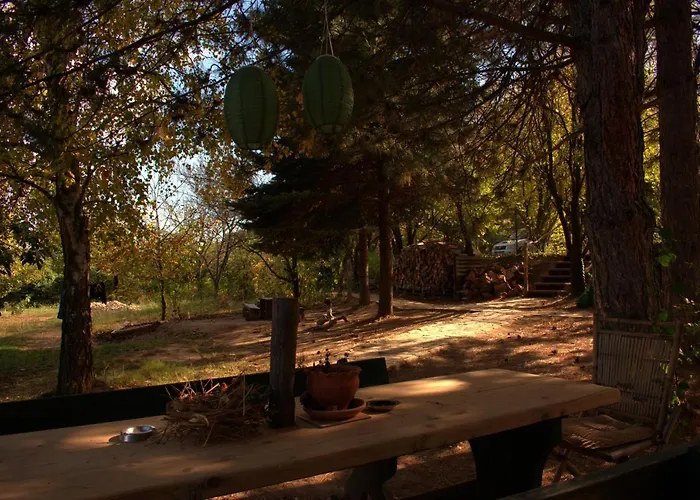 Sumska 1 - Fruska Gora Проживание в семье