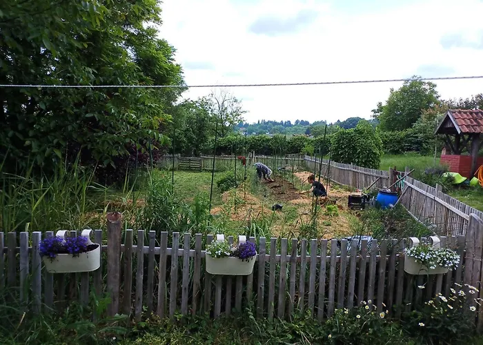 Sumska 1 - Fruska Gora *