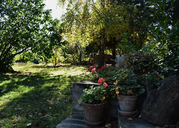 Sumska 1 - Fruska Gora * Sremska Kamenica