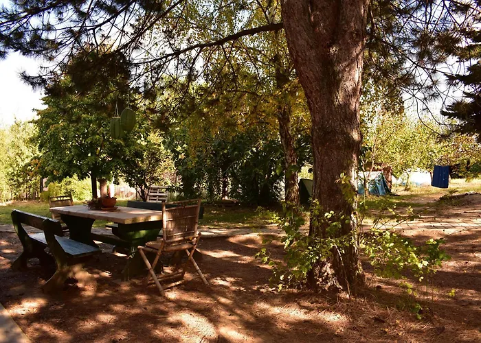 Sumska 1 - Fruska Gora Проживание в семье