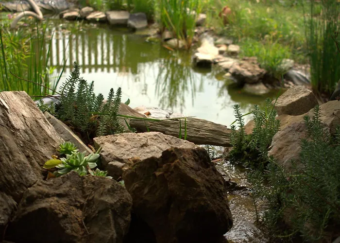 Проживание в семье Sumska 1 - Fruska Gora *