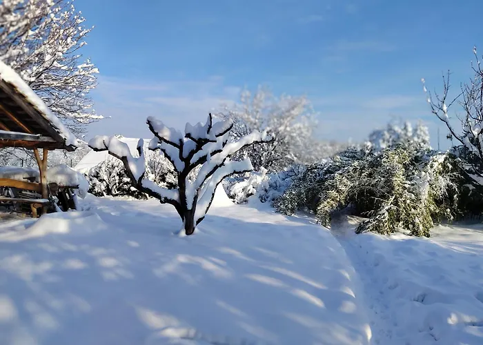 Проживание в семье Sumska 1 - Fruska Gora
